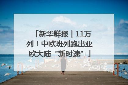 新华鲜报｜11万列！中欧班列跑出亚欧大陆“新时速”